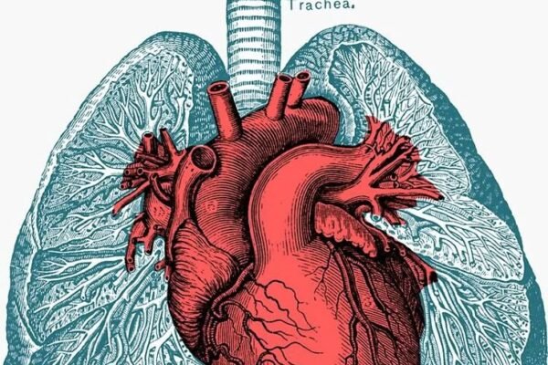 Pulmonary and cardiac rehabilitation